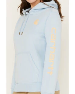 Carhartt Women's Relaxed Fit Midweight Logo Graphic Hoodie -Country Outfitter Shop 2000383961 450 P3